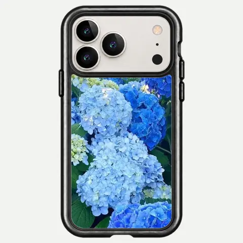 Design Hydrangea Ocean Garden