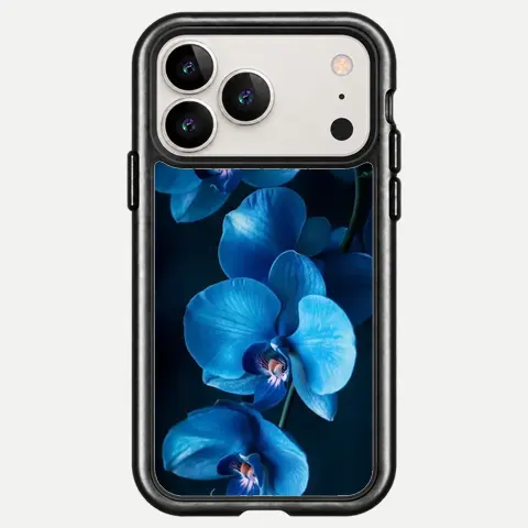 Design Midnight Blue Orchid