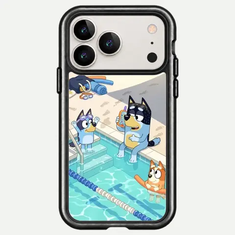 Design Bluey Pool Day